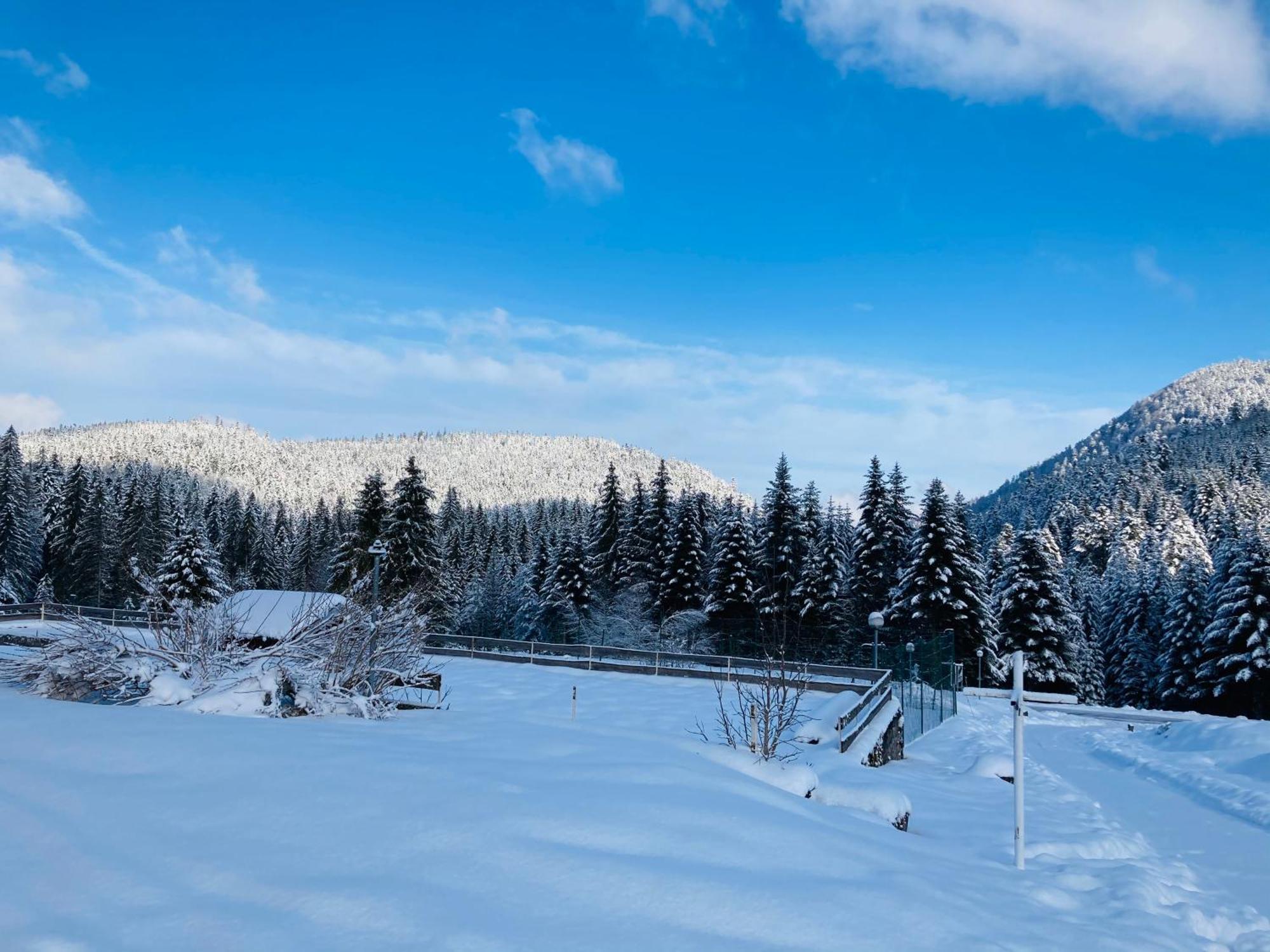 Le Perchoir Du Grand Valtin - Gite 5 Personnes - Altitude 830 Ban-sur-Meurthe-Clefcy Екстер'єр фото