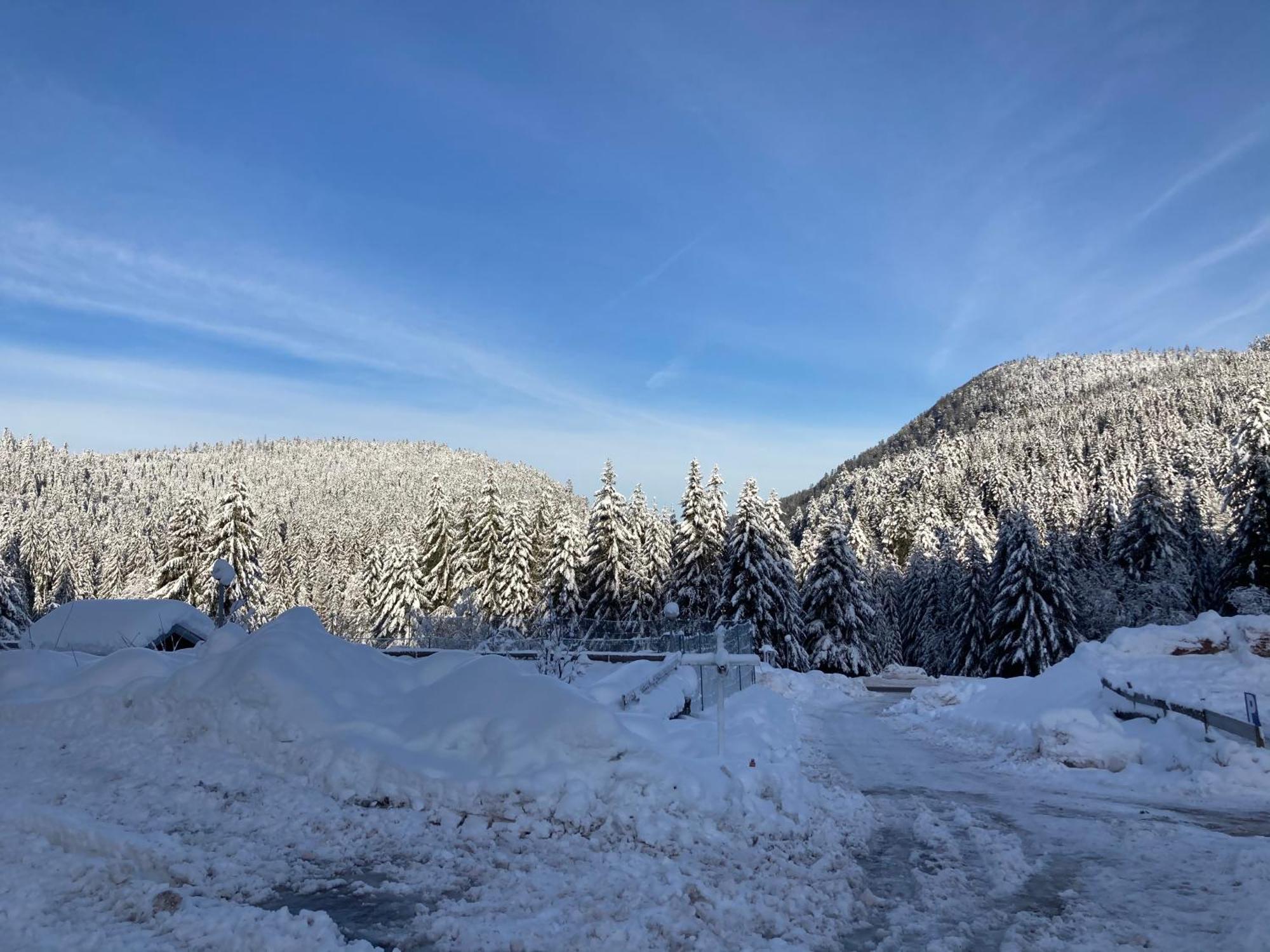 Le Perchoir Du Grand Valtin - Gite 5 Personnes - Altitude 830 Ban-sur-Meurthe-Clefcy Екстер'єр фото