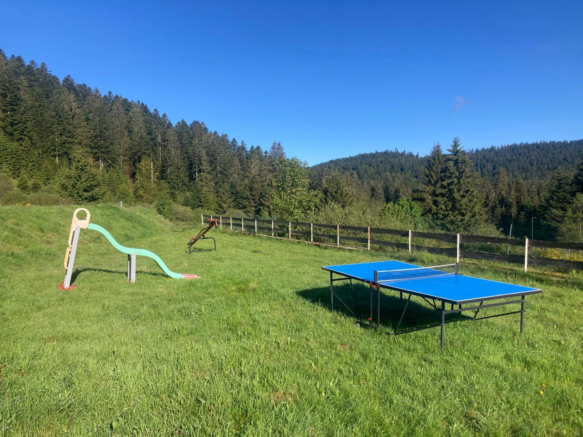 Le Perchoir Du Grand Valtin - Gite 5 Personnes - Altitude 830 Ban-sur-Meurthe-Clefcy Екстер'єр фото