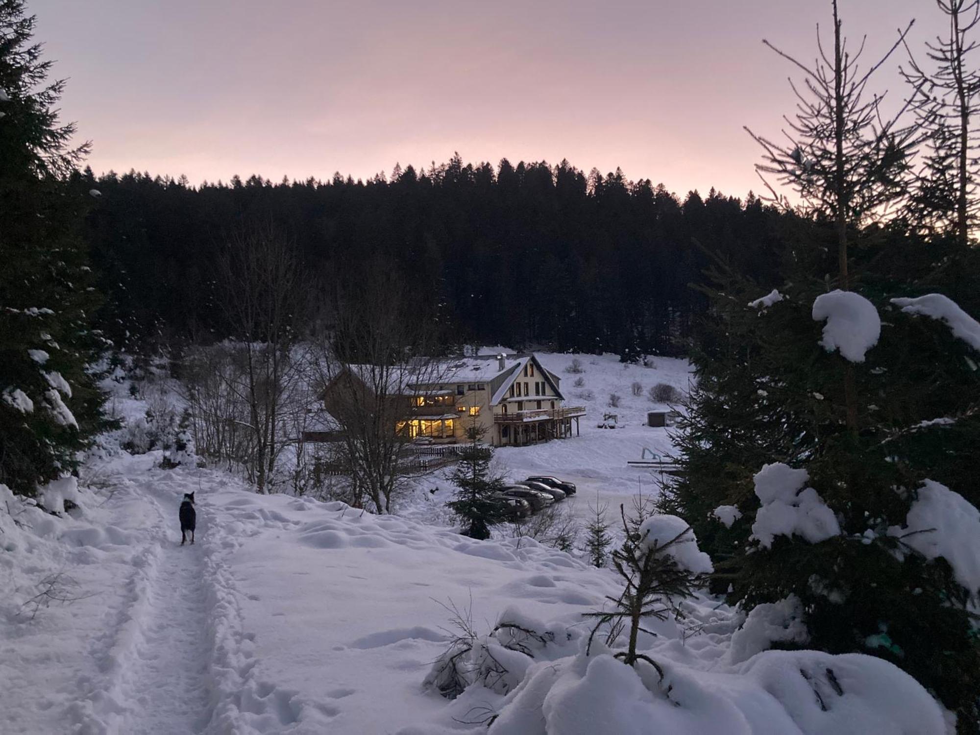 Le Perchoir Du Grand Valtin - Gite 5 Personnes - Altitude 830 Ban-sur-Meurthe-Clefcy Екстер'єр фото